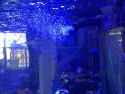009AB58A-AE5E-411B-9A5C-E0984D08763B.jpeg