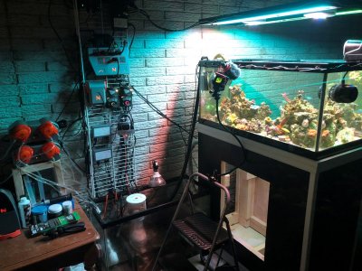 GoPro Aquarium.jpg