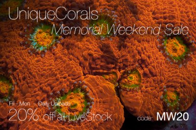 Memorial-weekend-20off-V2.jpg Memorial-weekend-20off-V2.jpg