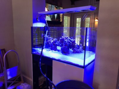 P500 Pic 3.jpg