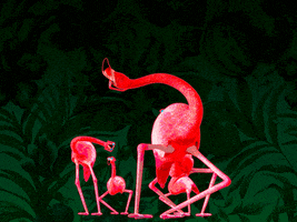 Flamingo.gif