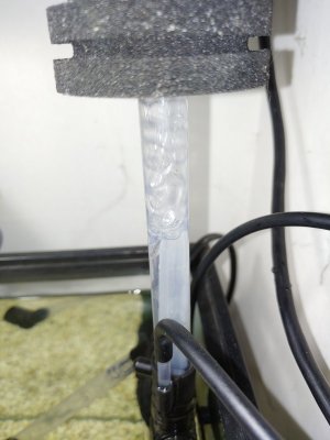 scimmer operation of trimmed 5 ml dropper.jpg