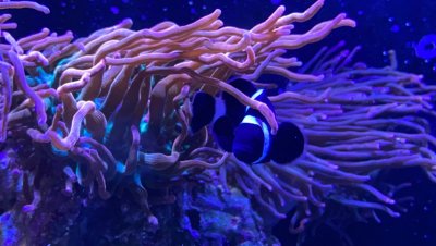 IMG_2333.jpeg IMG_2333.jpeg
