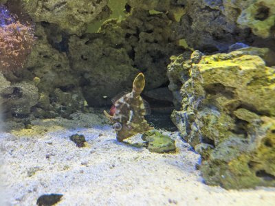 IMG_20200719_095141.jpg