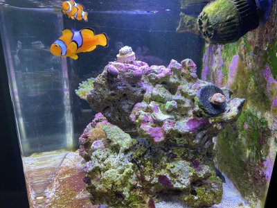 IMG_1067.jpg
