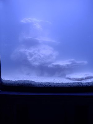 20200725_191002.jpg