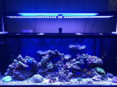 VIPARSPECTRA Timer Control Dimmable 165W 300W LED Aquarium Light Full Spectrum for Grow Coral Reef Marine Fish Tank LPS/SPS 