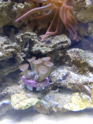 20200802_233127.jpg