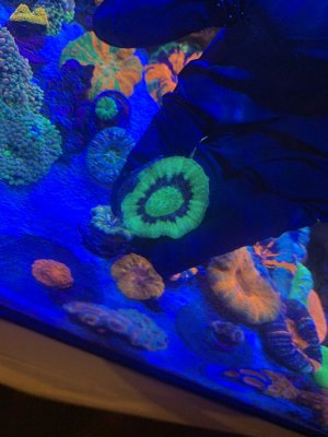 IMG_4042.JPG IMG_4042.JPG