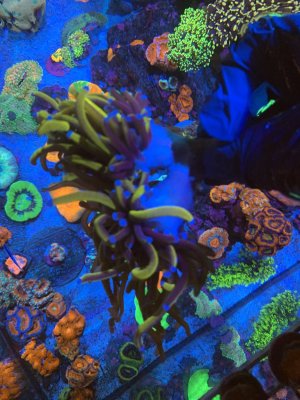IMG_7858.JPG IMG_7858.JPG