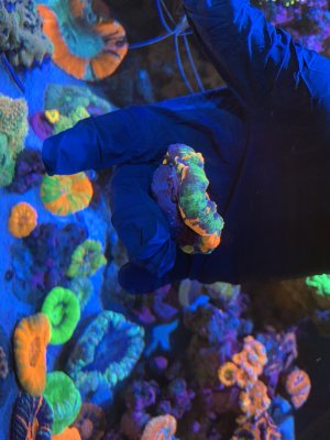 IMG_7824.JPG IMG_7824.JPG