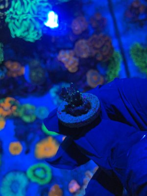 IMG_7876.JPG IMG_7876.JPG