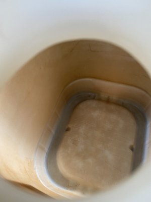 02726CA8-7D60-4209-A0F5-EC7F9D0B0287.jpeg 02726CA8-7D60-4209-A0F5-EC7F9D0B0287.jpeg