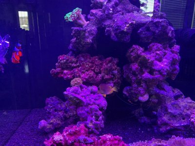 IMG_1625.jpeg IMG_1625.jpeg