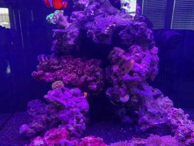 IMG_1624.jpeg IMG_1624.jpeg