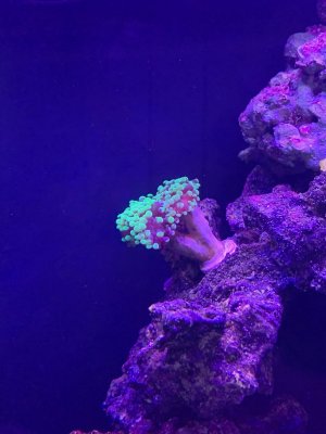 IMG_1623.jpeg IMG_1623.jpeg