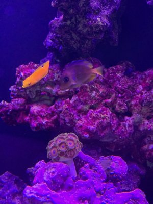 IMG_1621.jpeg IMG_1621.jpeg