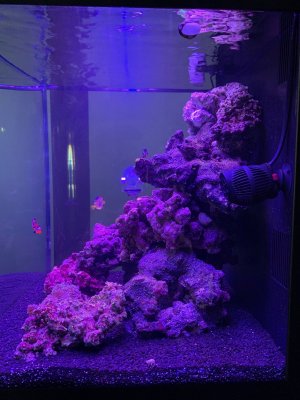 IMG_1619.jpeg IMG_1619.jpeg