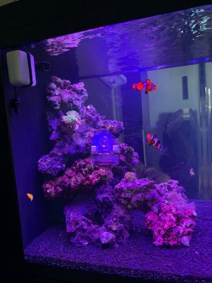 IMG_1618.jpeg IMG_1618.jpeg