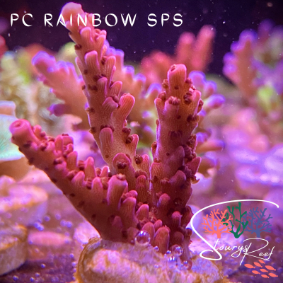 05B41035-E162-4E98-9C59-F1C9D52AA934.png 05B41035-E162-4E98-9C59-F1C9D52AA934.png