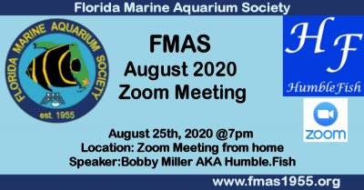 FMAS fb aug 2020.jpg FMAS fb aug 2020.jpg
