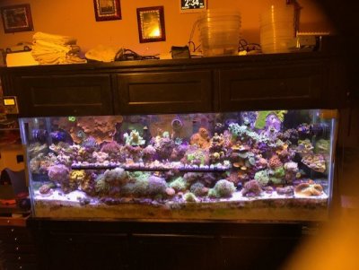 thumbnail_IMG_7532.jpg thumbnail_IMG_7532.jpg
