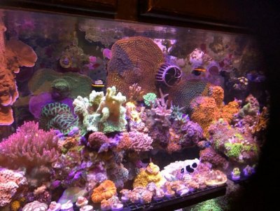 thumbnail_IMG_7535.jpg thumbnail_IMG_7535.jpg