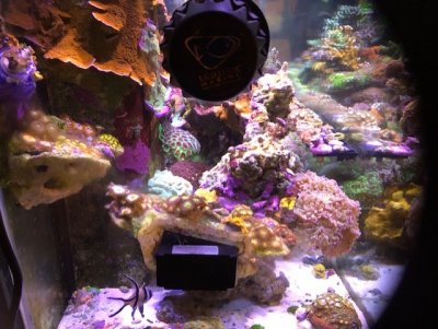 thumbnail_IMG_7536.jpg thumbnail_IMG_7536.jpg