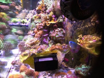 thumbnail_IMG_7537.jpg thumbnail_IMG_7537.jpg