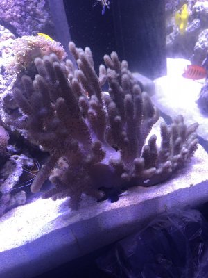 F7E37407-2D37-4322-9D53-0BB5BB1A49F1.jpeg