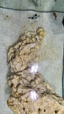 20200816_112211.jpg