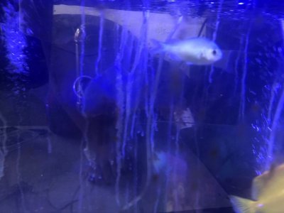 IMG_4474.JPEG