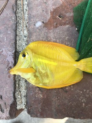 IMG_4487.jpeg