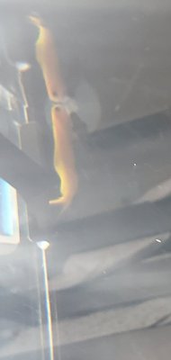 20200901_094337.jpg