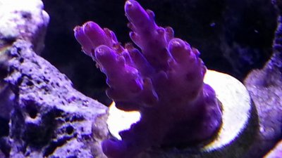 10858423_10100522980326249_208129810356781464_n.jpg