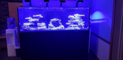 Large Build Just For Fun Red Sea Reefer 3xl 900 Reef2reef Saltwater And Reef Aquarium Forum