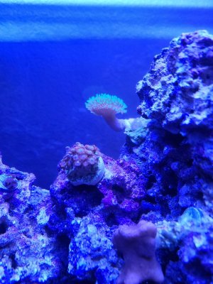 20200914_131453.jpg