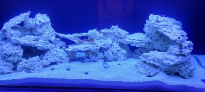 20200910_183237.jpg