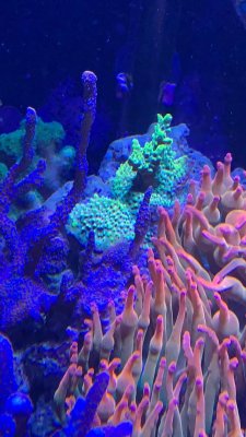 D61386AA-7A54-41E4-9273-F91DA2D64676.jpeg D61386AA-7A54-41E4-9273-F91DA2D64676.jpeg
