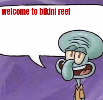 Fun Facts with Squidward 18092020115607.jpg