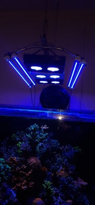20200923_092417.jpg