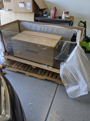 Delivered-check.jpg