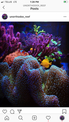 IMG_6140.PNG IMG_6140.PNG