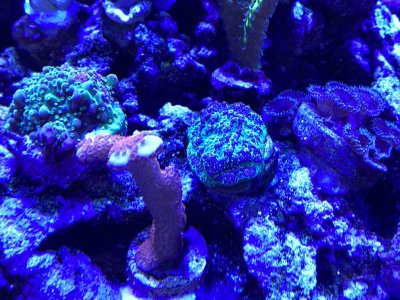 IMG_3332.JPG IMG_3332.JPG