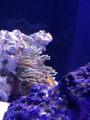 43184E08-C08D-42B2-AC02-0E9E1755D40A.jpeg