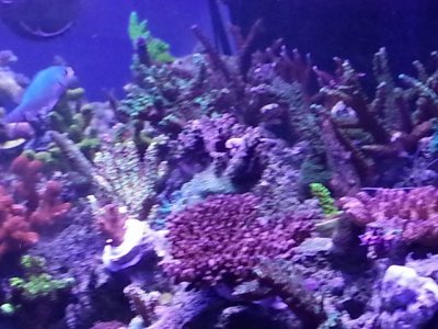 10405428_10100539985827089_9177286002780766947_n.jpg