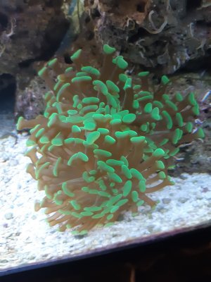 20201007_193117.jpg