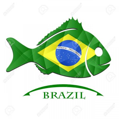 68806480-fish-logo-made-from-the-flag-of-brazil-.jpg
