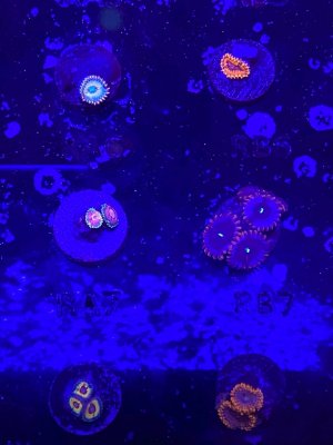 120841802_797543817646966_8059041930082980047_n.jpg 120841802_797543817646966_8059041930082980047_n.jpg
