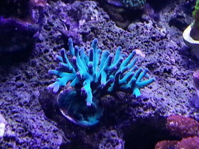 10409101_10100546046686079_7758526198551883854_n.jpg